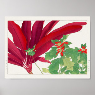 Poster Dracaena, Poinsettia por Tanigami Konan