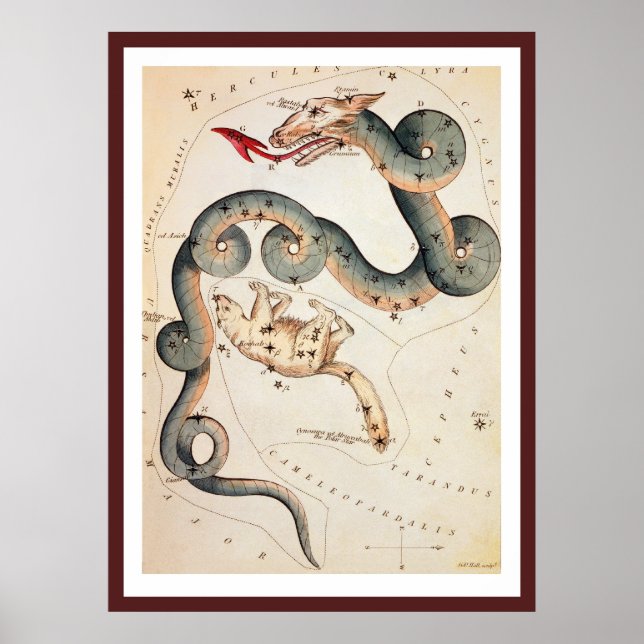 Poster Draco and Ursa Minor by Sidney Hall (Frente)