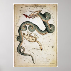 Poster Draco e menor de Ursa