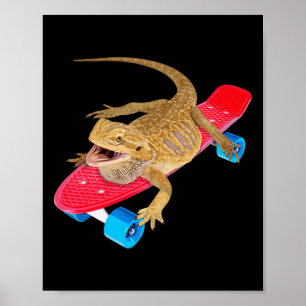 Poster Dragão Barbudo Engraçado Patinando Pagona Lagarto