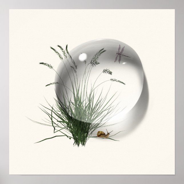 Poster Dragão Caracol Gota de Água Abstrato  (Frente)