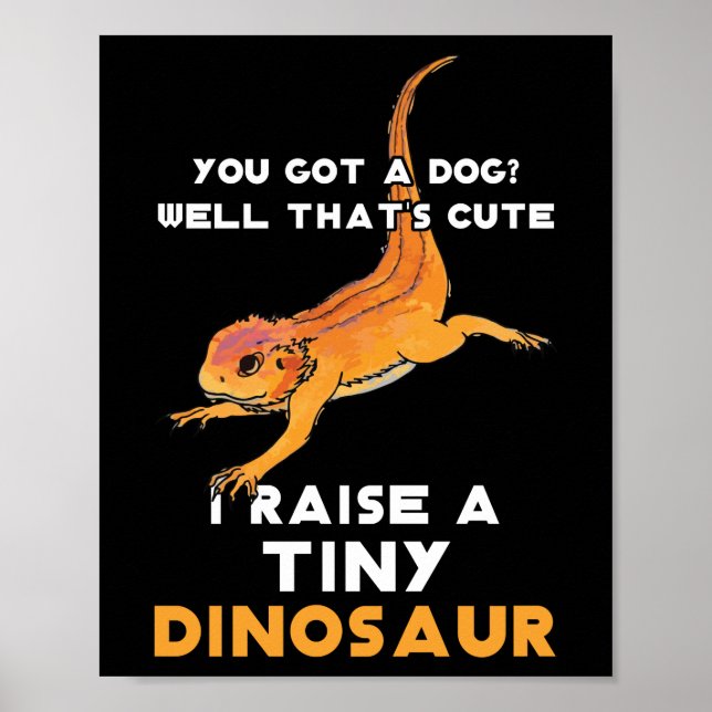 Poster Dragão Carborizado Proprietário do Dragão Carborad (Frente)