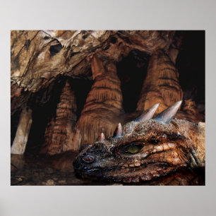 Poster Dragão Cave