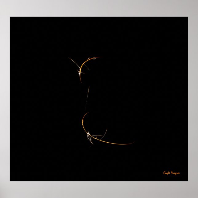 Pôster Dragão Dormindo (Frente)