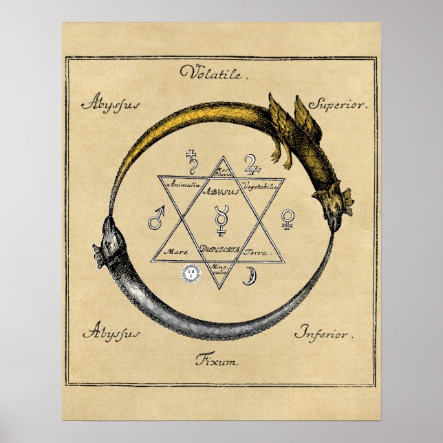 Pôster Dragão e Serpente Ouroboros Mandala (Frente)