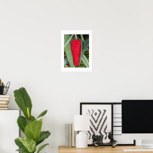 Poster Dragão Lily Red Seed Head