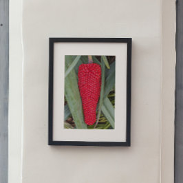 Pôster Dragão Lily Red Seed Head