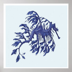 Poster Dragão Weedy litoral do mar