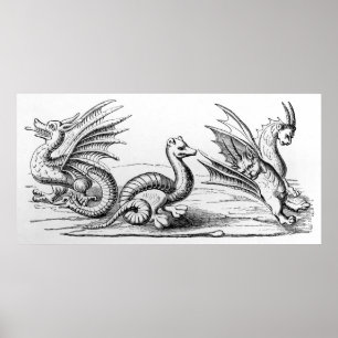 Poster Dragões