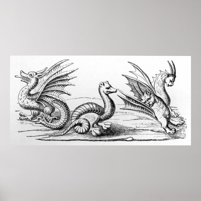 Poster Dragões (Frente)