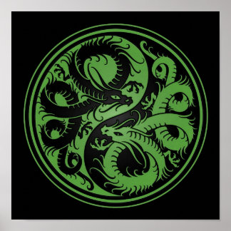 Poster Dragões Chineses de Yin Yang Verde e Negro