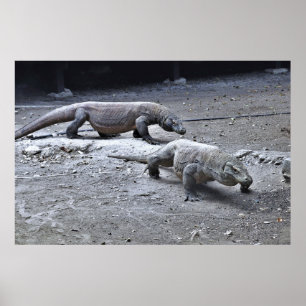 Poster Dragões sobre a patrulha