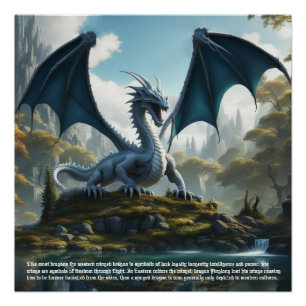 Pôster Dragon Anger