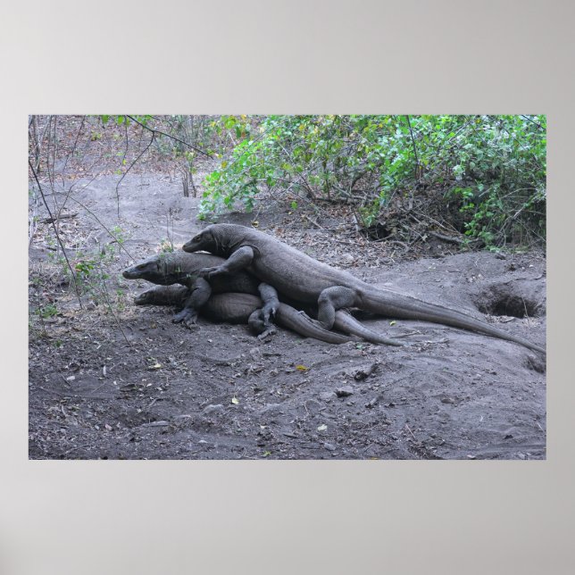 Poster Dragon Love (Frente)