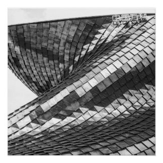 Pôster dragon reflexes