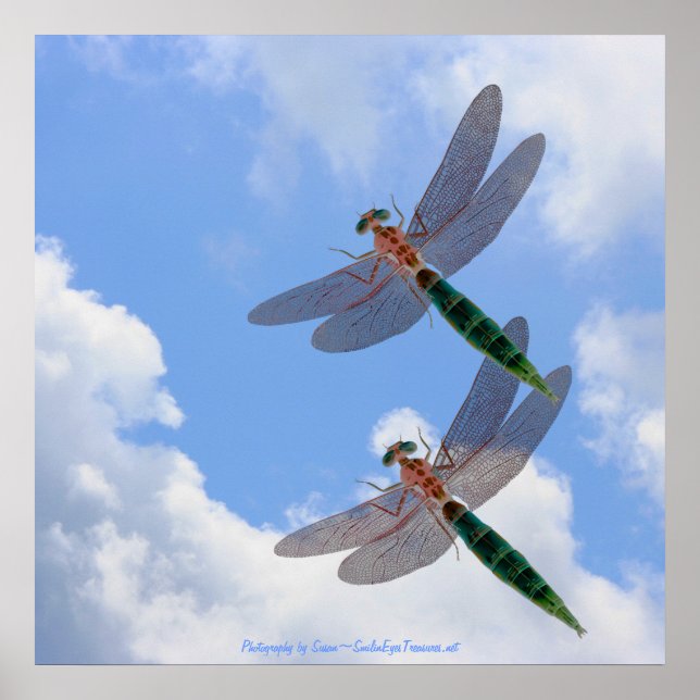 Pôster Dragonflies Blue Sky Fluffy Nuvens Natureza Impres (Frente)