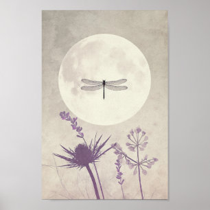Poster Dragonflies e Nature
