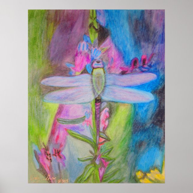 Poster Dragonfly (Frente)