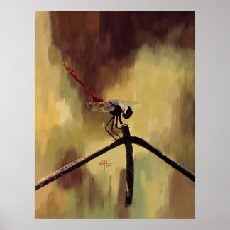 Pôster Dragonfly