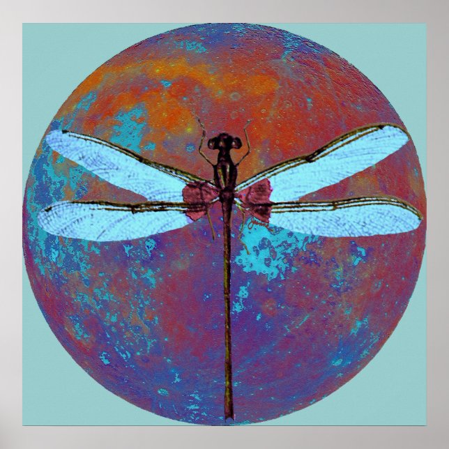Pôster Dragonfly (Frente)