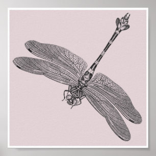 Pôster Dragonfly