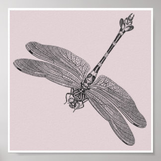 Pôster Dragonfly
