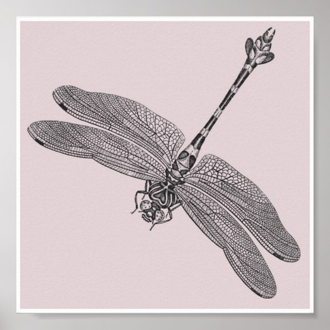 Pôster Dragonfly (Frente)