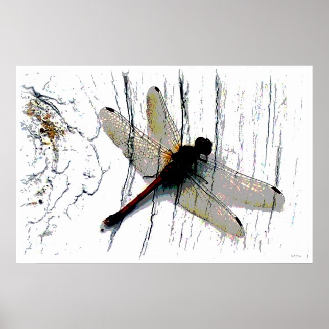 Pôster Dragonfly Art Fotografia (Frente)