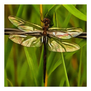 Pôster Dragonfly Artística Em Castanho E Amarelo Em Verd