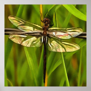 Pôster Dragonfly Artística Em Castanho E Amarelo Em Verde