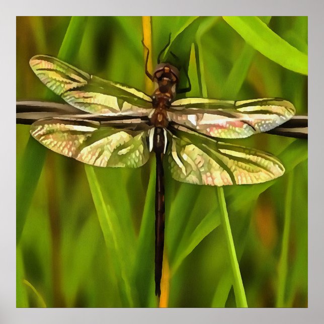 Pôster Dragonfly Artística Em Castanho E Amarelo Em Verde (Frente)