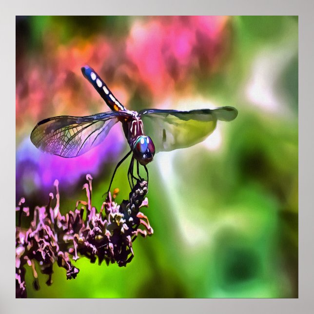 Poster Dragonfly em pintura realística verde e azul (Frente)