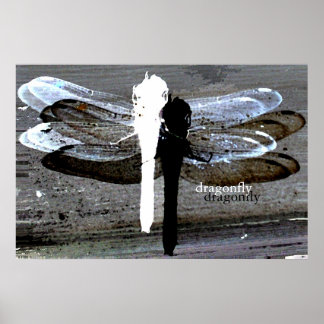 Poster Dragonfly (separação a preto e branco)