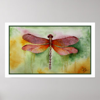Poster Dragonfly Sunset