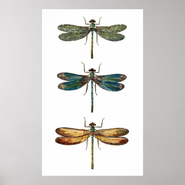 Poster Dragonfly Trio (Frente)