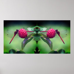 Poster Dragonfly Vermelha Em Dogwood Fruta