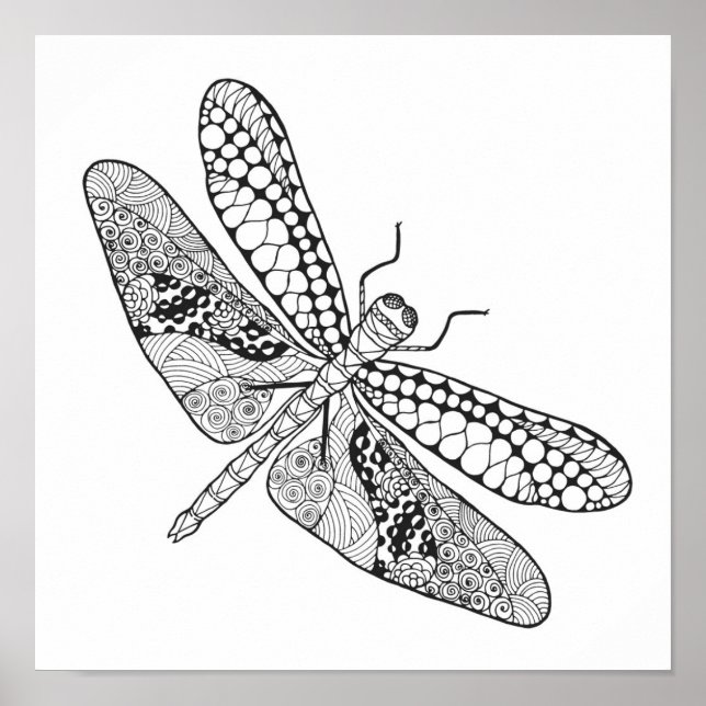 Pôster Dragonfly Zendoodle 2 (Frente)