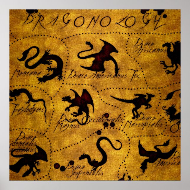 Poster Dragonologia 1 (Frente)