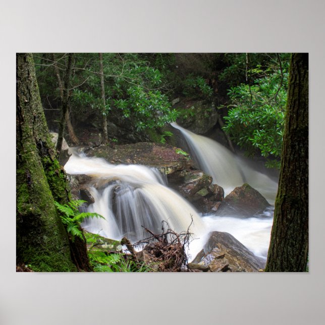 Poster Drakes Creek Falls (Frente)