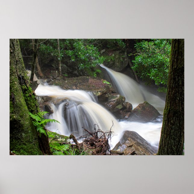 Poster Drakes Creek Falls (Frente)