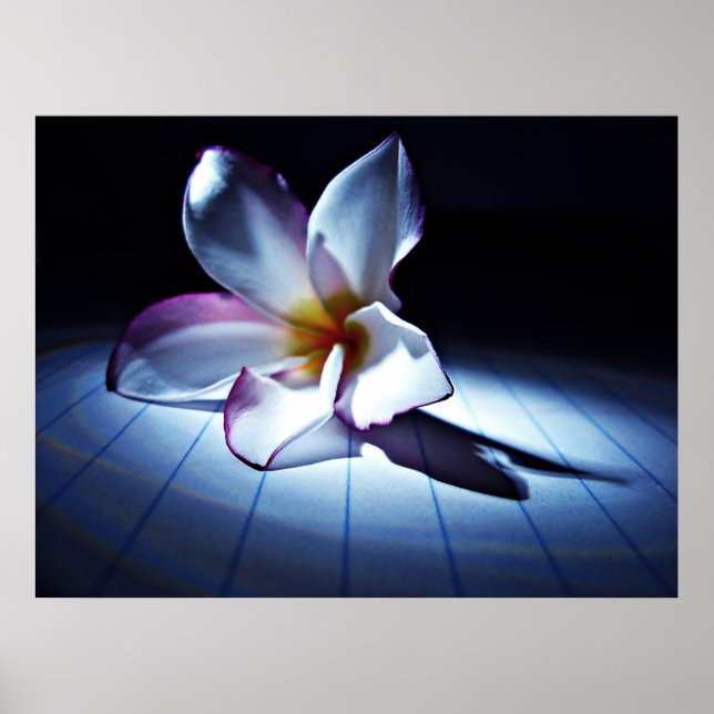 Pôster DRAMA (edt) (Frente)