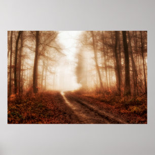 Pôster Dramatic red foggy winter snowless forest