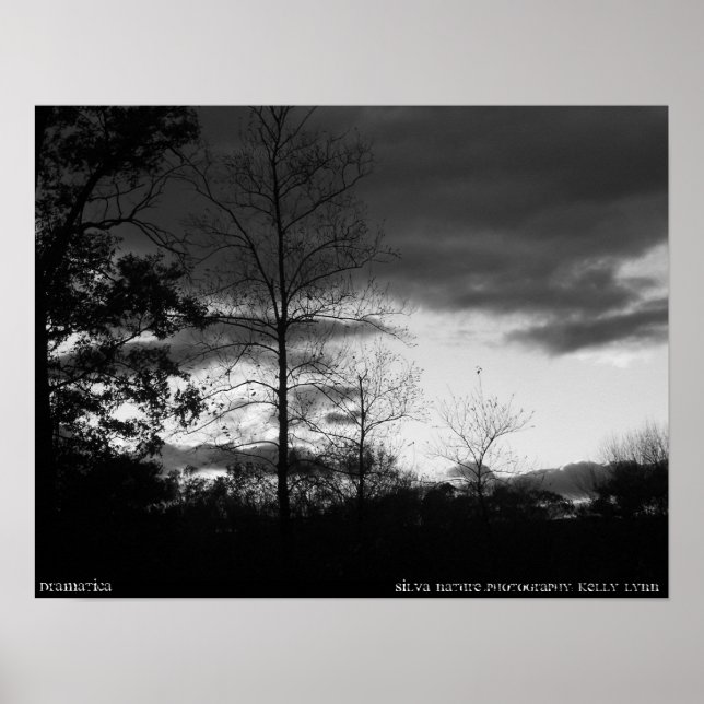 Pôster Dramatica (Frente)