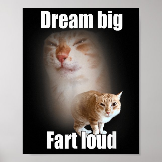 Poster Dream Big Fart Loud Cat Meme Funny Saying  (Frente)