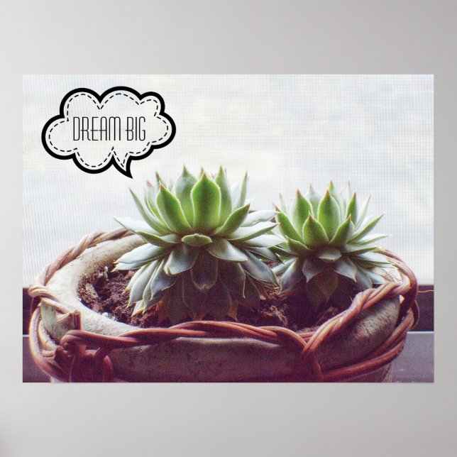 Poster Dream Big Phrase Succulent (Frente)