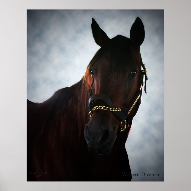 Poster Dreamer Ocidental (Frente)