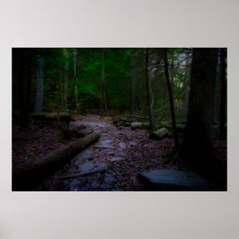 Poster Dreamland Woodland com Rock Trail