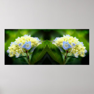 Poster Dreamy Blue Hydrangea Flower Mirror Abstrato