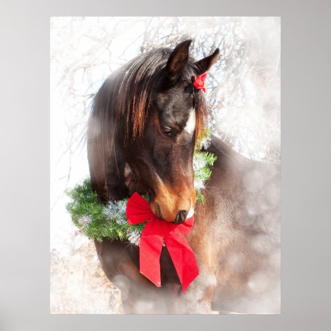 Pôster Dreamy Christmas Horse (Frente)