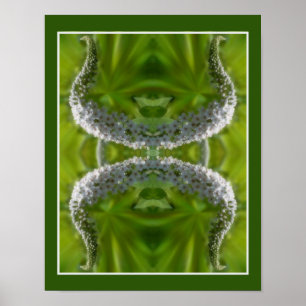 Poster Dreamy Curling White Wild Flower Abstrato